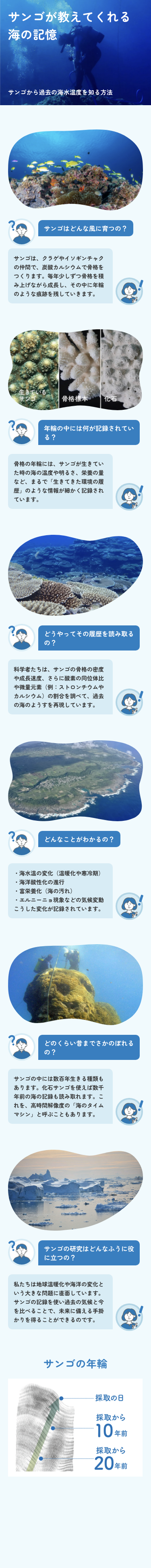 サンゴと海の記憶